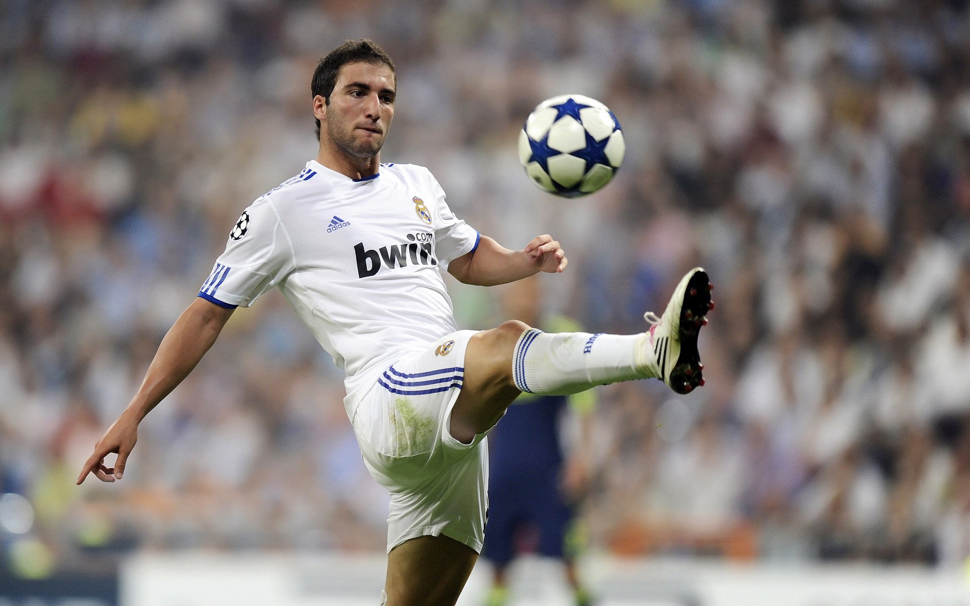 改革开放：推动足球运动多元发展的教育策略，对话足球将改革进行到底